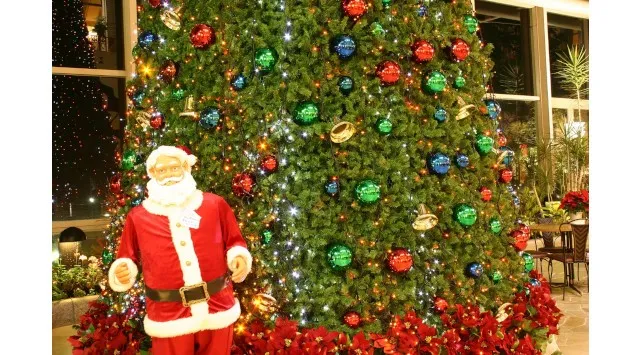 淡路島で最速のクリスマスツリー、2025年11月1日(土)点灯!高さ9mの淡路島内最大級クリスマスツリーが淡路ハイウェイオアシスに登場!明石海峡大橋を渡ってすぐ、関西屈指の“最速クリスマス”スポットへ