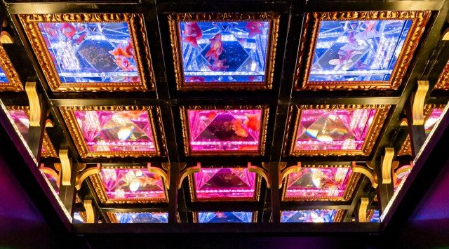 【Stay In 東京キャンペーン】アートアクアリウム美術館が「東京アフター6」入場券で東京を盛り上げる!アートアクアリウム製作委員会