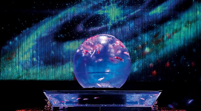 【Stay In 東京キャンペーン】アートアクアリウム美術館が「東京アフター6」入場券で東京を盛り上げる!アートアクアリウム製作委員会
