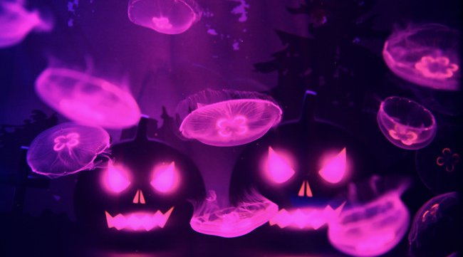 【すみだ水族館】万華鏡トンネルのクラゲ展示が、昼と夜のハロウィンバージョンに!「ハロウィン in すみだ水族館」 を開催。血をイメージしたソースをかけて楽しむ期間限定ソフトクリームを販売。イベント