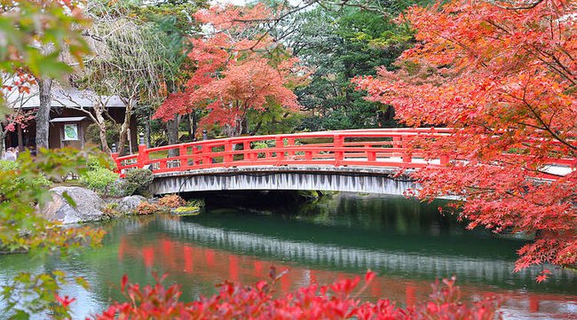 「松江市が贈る冬の風物詩」総計130万球!和のイルミネーションが松江を代表する日本庭園に彩る。【黄金の島 ジパング 2020】開催!さらに、島根半島の聖なる岬「美保関」で歴史と伝統を堪能