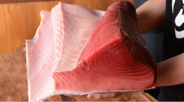 行き場を失った高級食材で生産者・仲卸業者さんを応援!2/17~時短要請解除日まで「こぼれ本マグロ鉄火丼」味噌汁・香物付き感謝のサンキュープライス!999円(税込)
