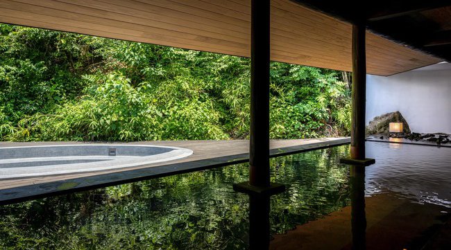 歴史と森のサウナ・廃墟のアート・お茶をセットで体験する、九州・御船山楽園の「チームラボ 廃墟と遺跡:淋汗茶の湯」、サウナ後の休息の時をより深いものにするEN TEA「月茶」を提供開始
