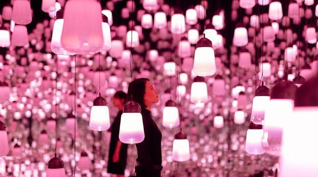 「チームラボボーダレス」(東京・お台場)が【春】限定の作品空間に。桜色に輝くランプや10万本の巨大な菜の花など春の景色が登場。3月1日から。チームラボ