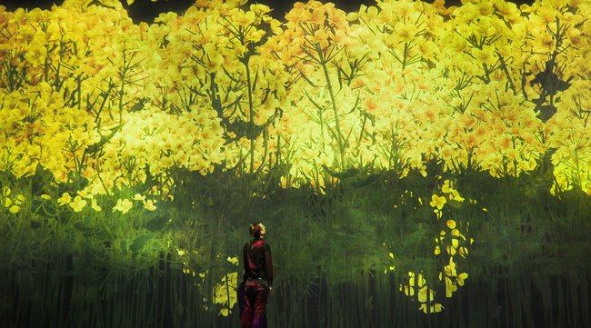 「チームラボボーダレス」(東京・お台場)が【春】限定の作品空間に。桜色に輝くランプや10万本の巨大な菜の花など春の景色が登場。3月1日から。チームラボ