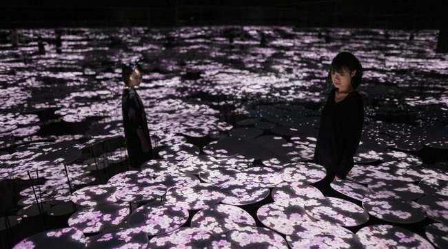 「チームラボボーダレス」(東京・お台場)が【春】限定の作品空間に。桜色に輝くランプや10万本の巨大な菜の花など春の景色が登場。3月1日から。チームラボ