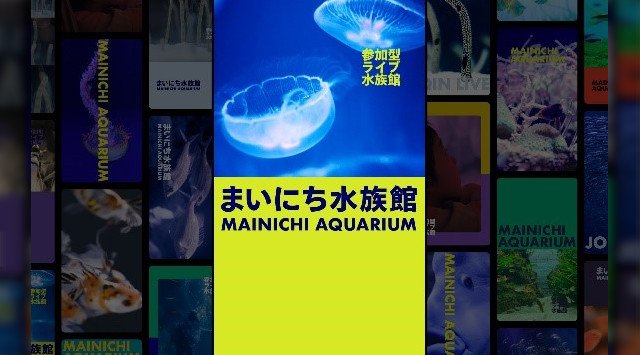 【オリックス水族館】京都水族館とすみだ水族館が、日常に水族館を届ける新サービス 参加型ライブ水族館「まいにち水族館」を開始 第1弾、いきものを見ながら“寝落ち”を味わえる「ねむリウム」を実施