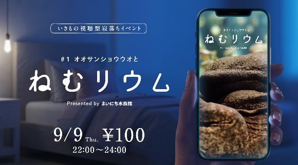 【オリックス水族館】京都水族館とすみだ水族館が、日常に水族館を届ける新サービス 参加型ライブ水族館「まいにち水族館」を開始 第1弾、いきものを見ながら“寝落ち”を味わえる「ねむリウム」を実施