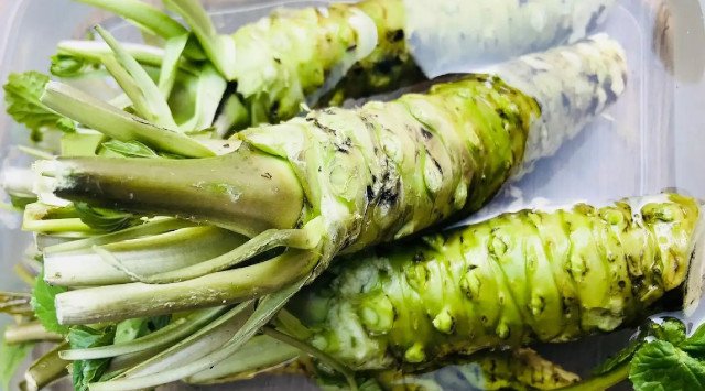 最後の味付けはお客様次第!自らすりおろして完成する「生わさび冷やしつけめん」7月1日より期間限定発売 ※一部店舗は7月8日から販売 株式会社インターナショナル・ダイニング・コーポレーション
