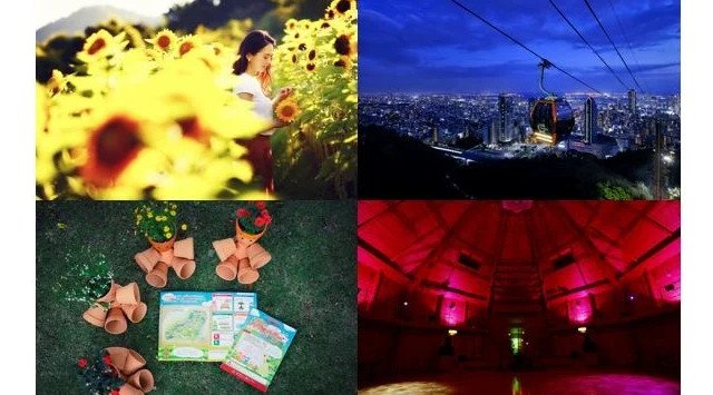 神戸布引ハーブ園”で「きっと忘れない夏 Garden Fest 2022-Summer-」がスタート。夏は全日ナイター営業。昼は「ひまわり」、夜は「夜景×イルミネーション」とイベント盛りだくさんです。