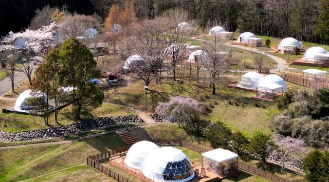 【日光の穴場、まだ間に合うお花見グランピング!】見ごろは4月中旬まで!贅沢なお花見BBQや夜桜ライトアップも幻想的、GW予約もOK!~ブリリアントヴィレッジ日光~株式会社太平