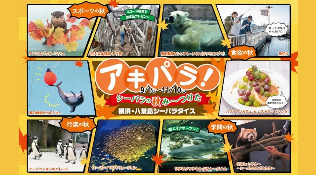 【横浜・八景島シーパラダイス】シーパラならではのさまざまな秋が盛りだくさん!「アキパラ!」【2023年9月1日(金)~11月10日(金)】株式会社 横浜八景島