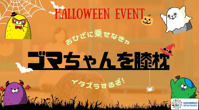 【今年もやってきました!!】大人気イベント「ゴマちゃんを膝枕体験」がハロウィンイベントとして帰ってきました!距離感ゼロのふれあい水族館 伊勢シーパラダイスからのお知らせ 株式会社伊勢夫婦岩パラダイス