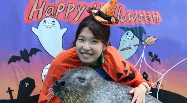 【今年もやってきました!!】大人気イベント「ゴマちゃんを膝枕体験」がハロウィンイベントとして帰ってきました!距離感ゼロのふれあい水族館 伊勢シーパラダイスからのお知らせ 株式会社伊勢夫婦岩パラダイス
