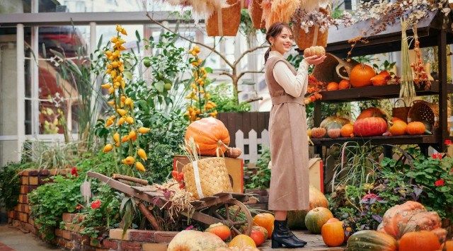 ”秋が来た”山上のリゾート”神戸布引ハーブ園”で「Garden Fest 2023-Autumn-」がスタート。秋のガーデン、グルメ、爽やかな秋風、季節を感じ日常を離れ”優雅な休日”をお過ごしください