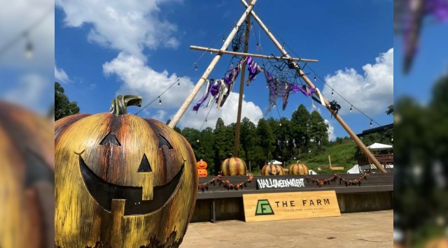 「ホンモノの収穫祭」は農園リゾートにある!THE FARMで、ハロウィンを非日常の新鮮な体験に。10月1日よりハロウィンHARVEST FESTIVALを開催 THE FARM