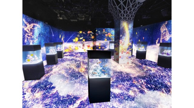 マクセル アクアパーク品川×ネイキッド、星空の海がテーマの幻想的なイルミネーション空間『NAKED STAR AQUARIUM』2023年11月3日~12月25日まで開催 株式会社ネイキッド