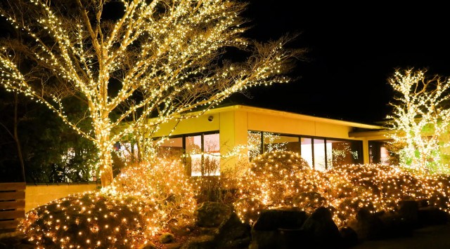 12月23日(土)、12月24日(日)のご宿泊限定!!【ウィンターイルミネーション&クリスマス企画】ハイクラスなおもてなしで特別な時間を<静かな仙石原で過ごす聖夜>野口観光マネジメント株式会社