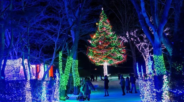 今年で10周年!「KOIWAI Winter Lights 銀河農場の夜2023」は11月18日(土)スタート 10周年を記念した新しい10のイベントも登場!自然にときめくリゾート 休暇村