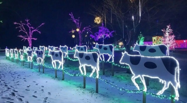 今年で10周年!「KOIWAI Winter Lights 銀河農場の夜2023」は11月18日(土)スタート 10周年を記念した新しい10のイベントも登場!自然にときめくリゾート 休暇村