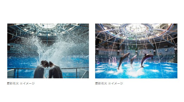 【マクセル アクアパーク品川】屋外の暑さを忘れて、涼やかな水族館内で楽しむ“夏の風物詩”『NAKED 花火アクアリウム』【2025年7月5日(土)~8月24日(日)】株式会社 横浜八景島