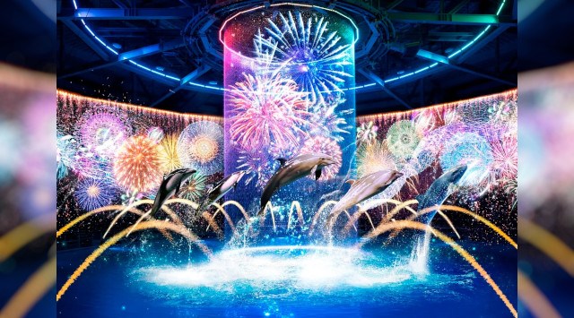 【マクセル アクアパーク品川】屋外の暑さを忘れて、涼やかな水族館内で楽しむ“夏の風物詩”『NAKED 花火アクアリウム』【2025年7月5日(土)~8月24日(日)】株式会社 横浜八景島