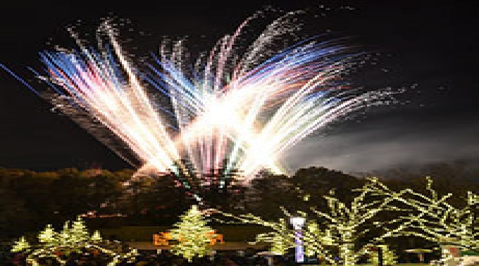 デンパークウィンターフェスティバル 14年11月29日 土 15年1月4日 日 イベントサーチ