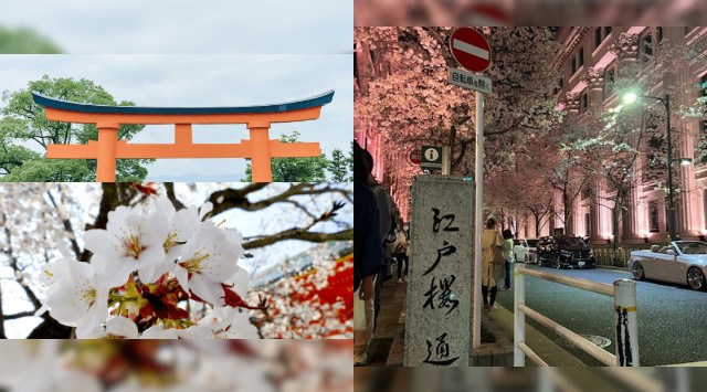東京駅スタート　都内最強パワースポット小網神社初詣散歩オフ会★集合場所　ＪＲ 東京駅 日本橋口　到着バスターミナル付近　 ベルマーケットキヨスクあたり
