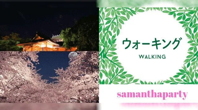 有楽町駅スタート　桜お花見散策　一粒万倍日　寅の日吉日　パワースポットお散歩会 　神社も★集合場所　ＪＲ 有楽町駅　銀座口　ファミマ付近