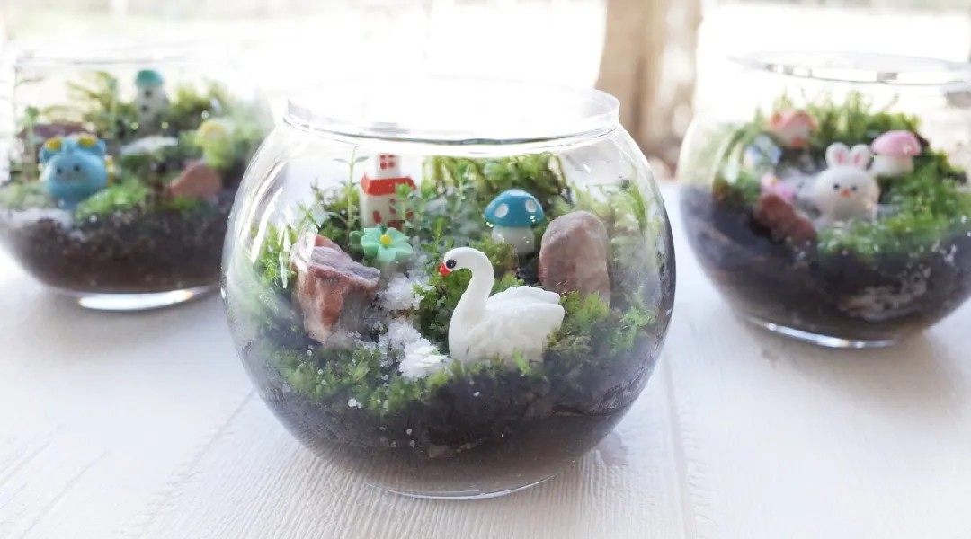 GW＆初夏限定　陶芸当日持ち帰り可能｢小さな森のテラリウム｣作り