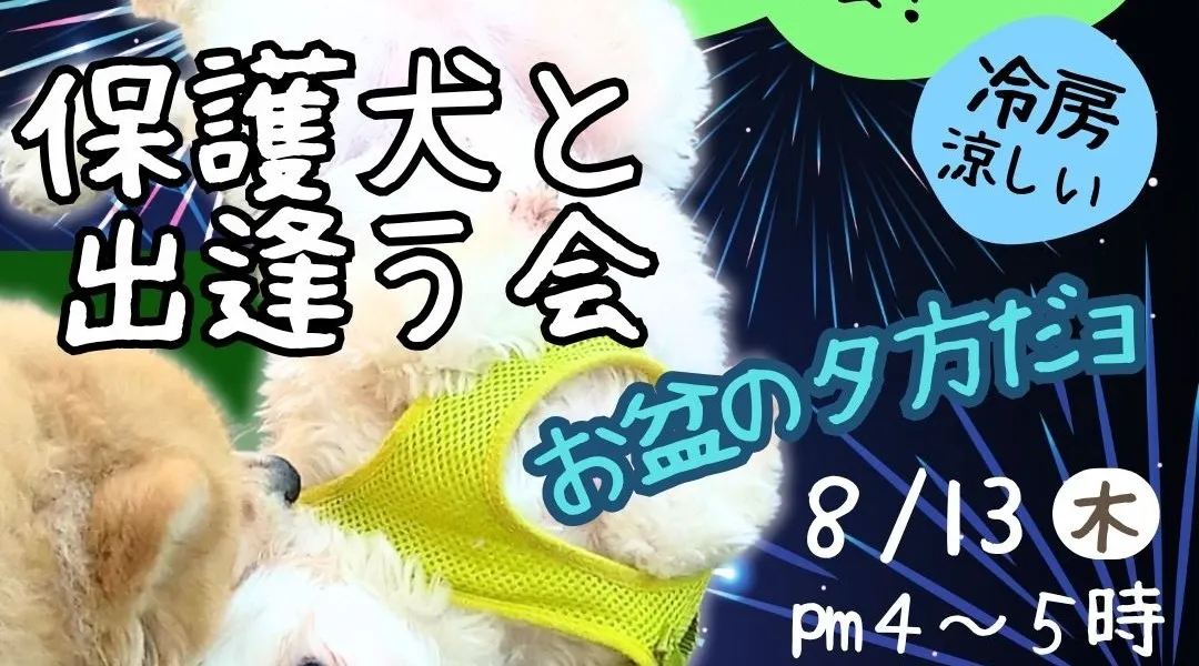 保護犬と人★出逢いの会＠茅ヶ崎