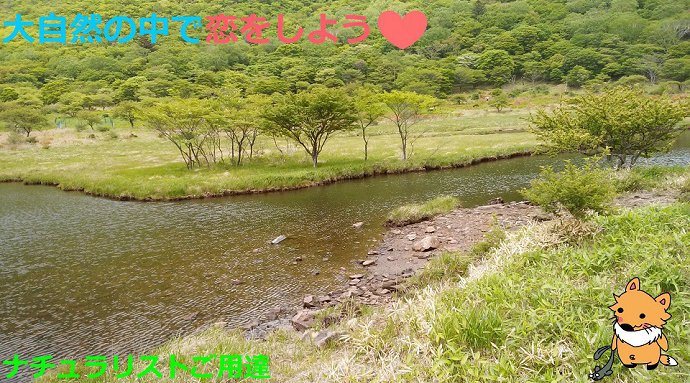 自然を満喫(^o^)トレッキングコンin赤城山 