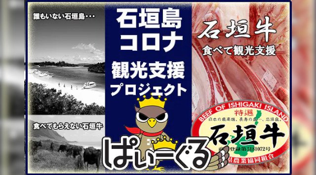 石垣島緊急支援プロジェクト★【 石垣島の観光と農業を支援ください。】新型コロナの影響で観光客も激減し農業及び観光業に大打撃で島の経済は先行き不透明な状態です、皆様のご支援をお待ちしております！