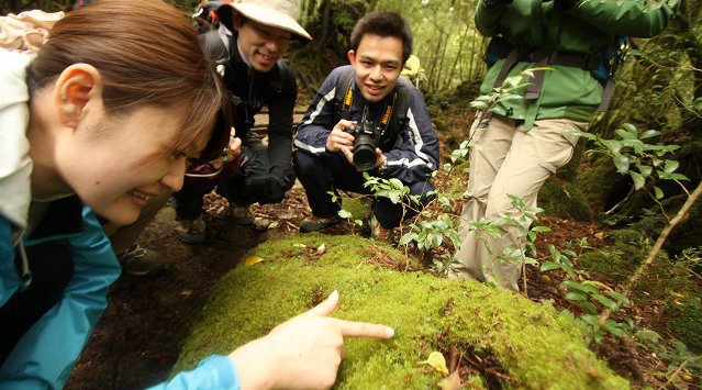 世界遺産・屋久島をオリジナルコースで探検　隠された島の魅力を"宝探し"～「幻の植物」を探すアクティビティなどが入った2つの新ツアーコースが登場～