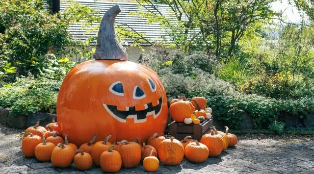 【山梨県・萌木の村】「萌木の村ハロウィンマンス2025～魔女とカボチャのガーデンパーティー」（10月1日～31日）開催！萌木の村株式会社