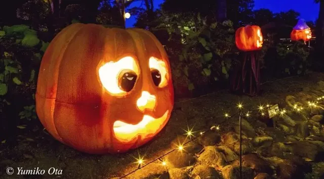 森のハロウィンナイト 国営武蔵丘陵森林公園 ハロウィン・イベント2025