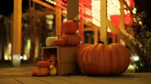 紅葉シーズンの軽井沢で楽しむハロウィンイベント開催～ランタンづくりやソーシャルアワーなど地域と人がつながるハロウィン～ホテルインディゴ軽井沢