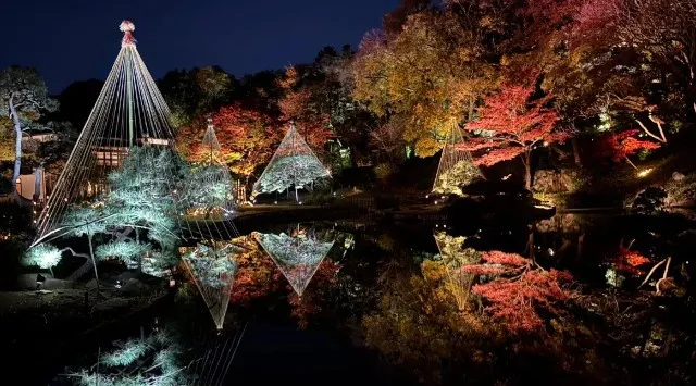 【文京区・肥後細川庭園】秋の紅葉ライトアップ「ひごあかり」、11月22日（土）から開催！深まる紅葉と竹あかりが織りなす幻想的な9日間。株式会社日比谷花壇