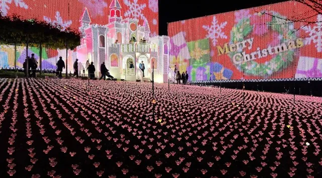 イルミネーションアワードで10年連続ランキング全国第1位『あしかがフラワーパーク』で最高のクリスマスを！2025年12月25日まで特別演出『クリスマスファンタジー』開催中！株式会社足利フラワーリゾート