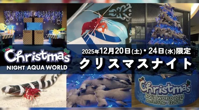 ２夜限定 アクアワールド・大洗で過ごす聖なる夜。NIGHT AQUAWORLD特別版 “クリスマスナイト”開催　2025年12月20日（土）・12月24日（水）開催。　アクアワールド茨城県大洗水族館