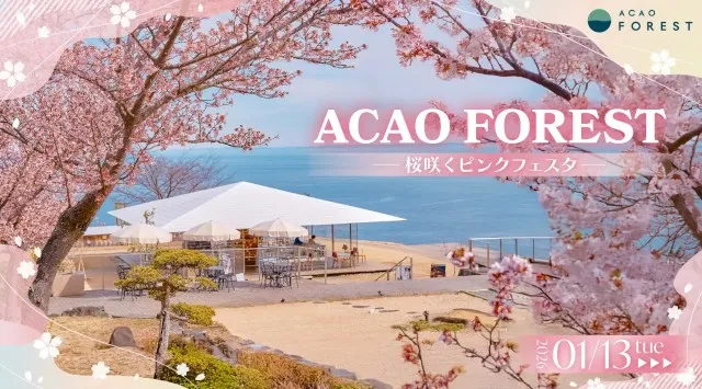 熱海で桜が続々と開花中！園内が桜色に染まる期間限定イベント「ACAO FOREST -桜咲くピンクフェスタ-」2026年1月13日（火）より開催！ACAO SPA & RESORT株式会社