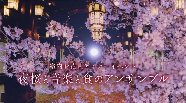 【ホテルニューグランド】歴史薫る空間で過ごす 室内お花見ディナーイベント「夜桜と音楽と食のアンサンブル」春を呼ぶ使者として愛されてきた桜と和洋楽器の融合を極上のフランス料理とともに楽しむ夜