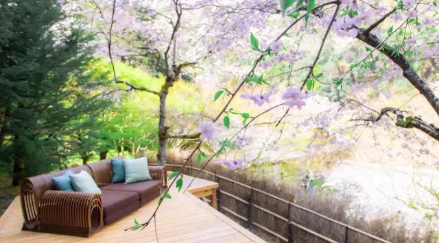 【星のや京都】平安貴族が興じた奥嵐山で叶う贅沢。三つの桜の「特等席」を独り占めする、一日一組限定の滞在プログラム「奥嵐山の花見滞在」提供開始　星野リゾート