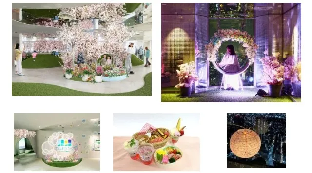 日本で一番早い開花宣言！？花粉を気にせず屋内でお花見気分♪『てんぼうパーク　さくらまつり』夜間限定で提灯を持って特別な春の記念撮影も！*2月26日（木）～5月10日（日）* 株式会社サンシャインシティ