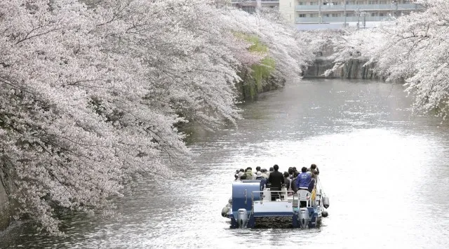 【人気№１】ただいま販売中！毎年2万人が乗船する人気クルーズ「桜の名所、目黒川お花見クルーズ」 3月20日～4月16日開催 株式会社ジール