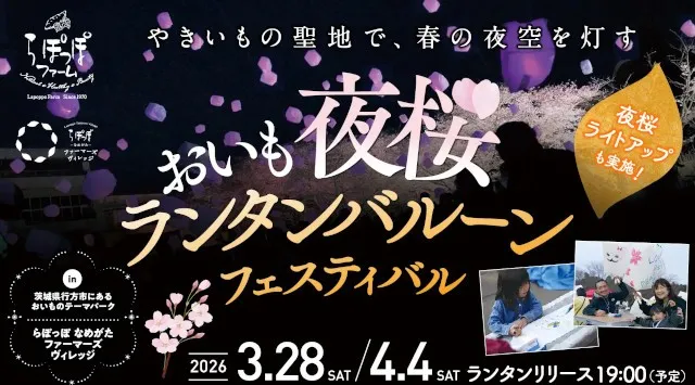 夜桜ライトアップとランタンが夜空を彩るやきいもの聖地の春フェス夜桜×ランタン×やきいも「おいも夜桜ランタンバルーンフェスティバル」開催　白ハト食品工業株式会社