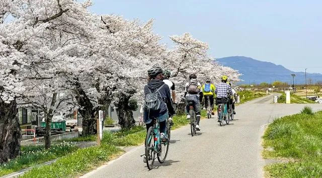 【山形・置賜】『置賜さくら回廊』をE-bikeで快走！ガイドと行く桜巡りサイクリングツアー【レンタサイクル付き】お花見気分でのんびり走る、置賜の桜の名所を巡るサイクリングツアーを開催します！