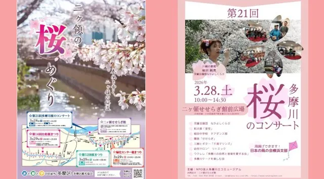 今年の桜前線の到来が目前に！都心からもアクセス良好・圧巻の桜が楽しめる川崎市多摩区の桜の名所　春風と歩く桜道。自然の豊かさを感じられる多摩区の春　川崎市 多摩区