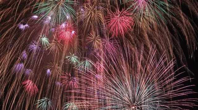 刈谷わんさか祭り 花火大会2026 刈谷市総合運動公園 愛知県刈谷市築地町荒田 - 日程・穴場・見所・打ち上げ時間 - 花火大会 お祭り