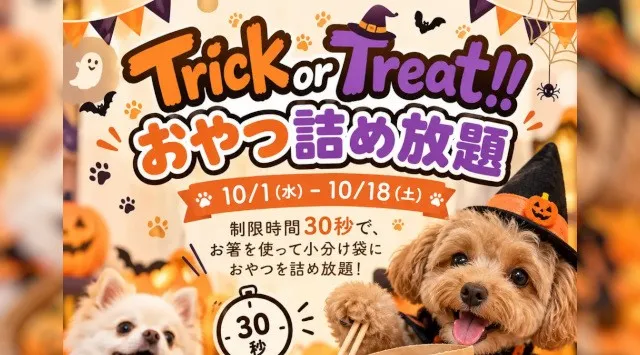 【Pets Tokyo豪徳寺1号店】Trick or Treat おやつ詰め放題を開催します！＼ 制限時間は30秒 ／オリジナルおやつをお箸で詰め放題　Lehman Hodings
